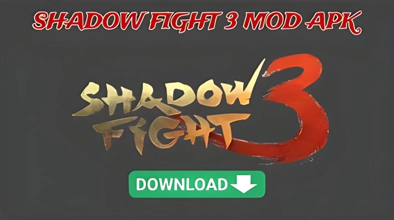 Amazing Features Of The Shadow Fight 3